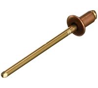 Gesipa Rivets Aveugles Mini Pack de 50 unités/paquet, 4 x 6 mm, cuivre/bronze