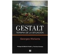 Gestalt Terapia De La Situacion