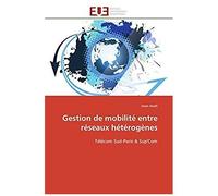 Gestion De Mobilité Entre Réseaux Hétérogènes