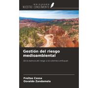 Gestión del riesgo medioambiental: De la esencia del riesgo a los distintos enfoques