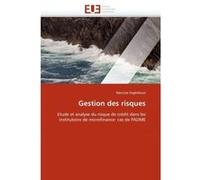 Gestion des risques Narcisse SOGLOHOUN (Auteur)