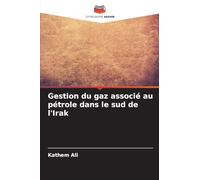 Gestion du gaz associé au pétrole dans le sud de l'Irak