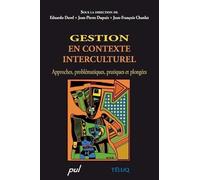 Gestion En Contexte Interculturel - Approches, Problématiques, Pratiques Et Plongées (1 Cd-Rom)