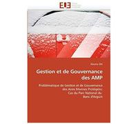 Gestion Et De Gouvernance Des Amp