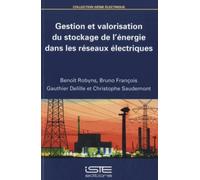 Gestion et valorisation du stockage de l’énergie dans les réseaux électriques
