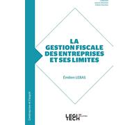 Gestion fiscale des entreprises et ses limites