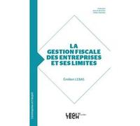 Gestion fiscale des entreprises et ses limites