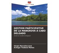 GESTION PARTICIPATIVE DE LA MANGROVE À CABO DELGADO: Guide du modèle stratégique