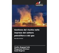 Gestione del rischio nelle imprese del settore petrolifero e del gas