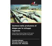 Gestione della produzione di biogas per lo sviluppo regionale