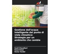 Gestione dell'acqua intelligente dal punto di vista climatico: Strategie per un ambiente che cambia