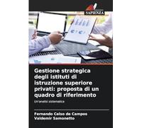 Gestione strategica degli istituti di istruzione superiore privati: proposta di un quadro di riferimento