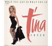 Get is What You See (INCL. The Tina Turner Montage Mix) [Import]