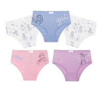 Get Trend Disney Frozen Culottes Fille Coton Respirant Elsa et Anna Lot 5 Slips Enfants Tout-Petits sous-Vêtements Douce (6-7 Ans, Multi Frozen Lot de 5)