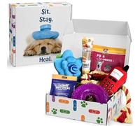 Get Well Soon - Cadeau pour chien, panier cadeau pour chiot avec 3 friandises pour chien et 4 jouets, adorable panier cadeau pour chiot
