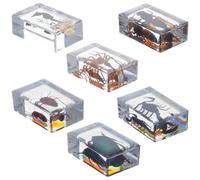 GETAJGHSD 6pcs Spécimens D'insectes en Résine pour Décoration Maison et Bureau, Préservation D'insectes Fonction Presse-papiers, Artisanat Élégant et Éducatif Scientifique