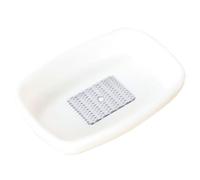 GETAJGHSD Râpe à Gingembre en Acier Inoxydable Corps en Plastique Blanc, Outil la Cuisine Facile à Nettoyer pour Râper Ail, Gingembre et Fruits