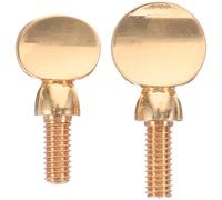 GETAJGHSD Vis de Fixation Accessoire Simple et Élégant pour Saxophone en Cuivre Or, Lot de 2pcs Portable et Facile à Transporter pour Saxophone Alto