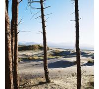 Getdown Services - Getdown Services - Your Medal's In The Post / Primordial Slot Machine