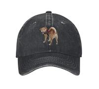Geteruichi Casquette de baseball drôle Shiba Inu en coton pour homme Noir