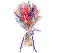 Getrockneter Pampasgras-Blumenstrauß, 43 cm, natürliche und farbenfrohe Blumenarrangement mit Hafer und Wollgras, Wohndekoration, für Boho-Stil im Innenbereich