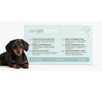 getTested Fecal Occult Blood Test Dogs