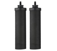 Gettimore Black Berkey Lot de 2 éléments filtrants à eau à charbon actif en coquille de noix de coco, 5,7 x 24,9 cm