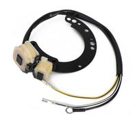 Gettimore Bobine de stator de rechange pour moteurs hors-bord Mercury 2 cylindres 6-40HP 1979-1997, compatible avec 86617A20 174-6617K1