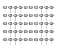 Gettimore Lot de 10 engrais en acier inoxydable pour bonsaï, outil de jardinage résistant aux intempéries avec livraison ciblée de nutriments, petite taille 4,72 × 1,9 cm, grande taille 5,77 × 2,8 cm