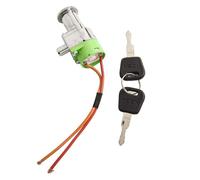 Gettimore Verrou de batterie de vélo électrique avec 2 clés, serrure de sécurité en métal pour vélo électrique, noir et argent