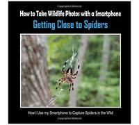 Getting Close To Spiders: How I Use My Smartphone To Capture Spiders In The Wild (How To Take Wildlife Photos With A Smartphone)