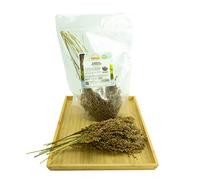 Getzoo Bouquet de millet argenté - Séché (bouquet)