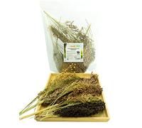 Getzoo Mélange de millet de qualité supérieure - Séché (bouquet) - 160 g - Idéal pour tous les types de rongeurs - Alimentation aventureuse et emploi - Composition proche du naturel