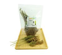 Getzoo Millet panicule rouge - séché (bouquet)
