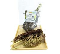 Getzoo Schelli - Séché (bouquet)