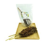 Getzoo sorgho blanc - séché (bouquet)