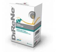 Geulincx Direne 32pcs
