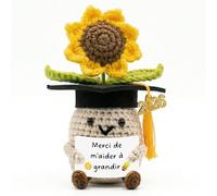 GEVECORI Cadeau Maîtresse d'école Fin d'Année - Merci Maître