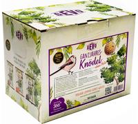 Gevo Boules Énergétiques pour Oiseaux, Toute l’Année - 2,70 kg