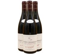 Gevrey-Chambertin 1er Cru Lavaut Saint-Jacques - Rouge 2023 - Domaine Tortochot - Grand Vin Rouge de Bourgogne (3x75cl)