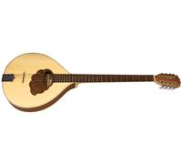 GEWA Bouzouki irlandais Pro Natura Silver