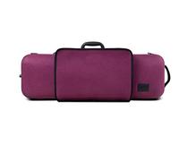Gewa Bio Vln Case 4/4 VIOLET