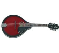 BSX 523837 Housse pour banjo Tennessee Economy 5 et 6 cordes