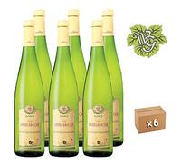 Gewurztraminer Gisselbrecht AOC Alsace - 6 bouteilles 750 ml