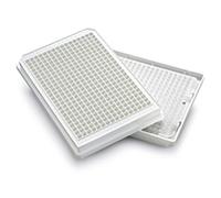 GFL 910892 Pince à ressort pour tubes diamètre 37 mm