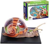 GFLCWYP Modèle d'anatomie d'escargots de vision 4D,Modèle de structure d'organe d'escargots,Kit de dissection d'escargots simulé,32 pièces Organes d'escargots amovibles et modèle de pièces du corps