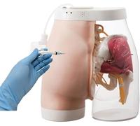 GFLCWYP Modèle d'injection de fesse,Simulateur électronique d'injection de hanche,Modèle de pratique d'injection de muscle de fesse semi-transparent pour les écoles, les hôpitaux, la formation