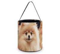 GFLFMXZW Sacs à friandises d'Halloween avec poignées - Portable et pliable - Panier à bonbons d'Halloween réutilisable - Pour emballage de cadeaux, style, Style :, 7.9"Ã-7.9"Ã-8.3", Sacs à friandises