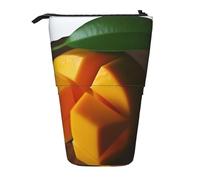 GFLFMXZW Trousse à crayons télescopique avec fermeture éclair Motif mangue, Noir , Taille unique, Moderne