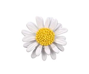 GFM Broche en forme de marguerite - Noël, fête des mères, anniversaire, Saint-Valentin, Small, Métal, Pas de pierre précieuse